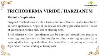 Trichoderma viride characteristics [upl. by Meekar654]