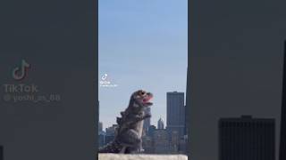 Godzilla chibi godzilla 2014 and godzilla 2024 tiktok godzilla edit monsterverse godzillaxkong [upl. by Gearard]