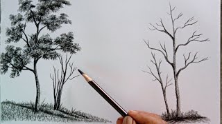 How to draw trees easy ways with charcoal pencil [upl. by Doomham]