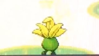 Random Shiny Oddish Pokemon Emerald [upl. by Eeb]