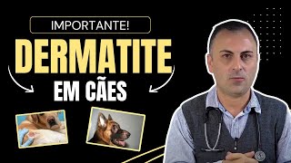 Dermatite EM cães [upl. by Yadsendew]