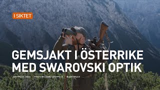 Gemsjakt i Österrike med Swarovski Optik [upl. by Abott]