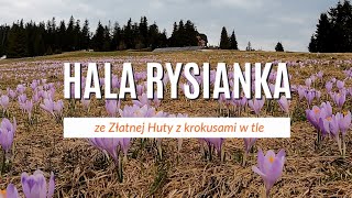 Rysianka szlak ze Złatnej Huty [upl. by Anire]