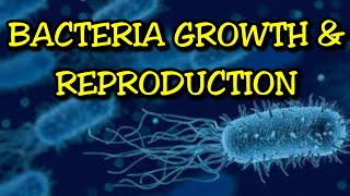 Understanding the Growth amp Reproduction of Bacteria [upl. by Aridnere390]