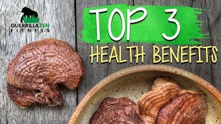 TOP 3 Health Benefits of Reishi Mushroom [upl. by Anitnas525]