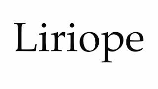 How to Pronounce Liriope [upl. by Ethbinium]