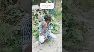 Video Bhalo Lage like comment subscribe karo please bairalshorts funny [upl. by Sadinoel]