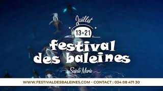 🌊🐋 FESTIVAL DES BALEINES 2024 🐋🌊 [upl. by Pollack]