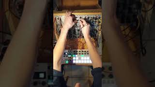 Live Session  Custom Analog Modular Synth [upl. by Tibbs]