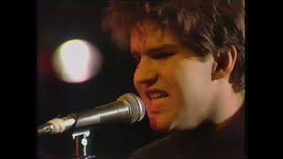 Lloyd Cole amp The Commotions  Rattlesnakes Whistle Test 271184 [upl. by Irmo]