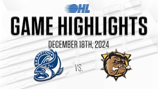 OHL Highlights Brampton Steelheads  Brantford Bulldogs Dec 18 2024 [upl. by Aivun]