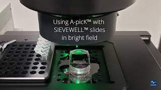 Using ApicK™ with SIEVEWELL™ slides in bright field [upl. by Berger]