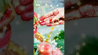 vat Savitri status songVat savitri pooja statusVat Savitri whatsapp status shorts viralvideo [upl. by Yddur]