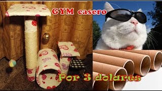 como hacer gimnasio rascador para gatos CASERO  con material reciclado [upl. by Arrais]