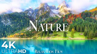 Nature Relaxation Film 4K  Beautiful Relaxing Music  Video Ultra HD [upl. by Riatsala]