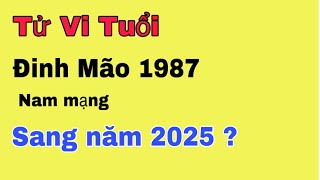 Tử vi tuổi Đinh Mão 1987 nam mạng sang năm 2025 cuộc sống bình ổn trôi qua [upl. by Rosner264]