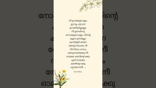 🤍Nee Uranguvolam Innum Lyrics 🤍🎶 Hridayasakhee lyricalstatus malayalamlyrical shortfeed trending [upl. by Linzy960]