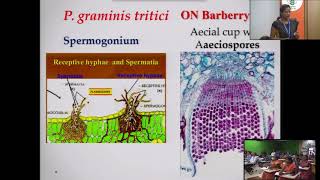 Life cycle of Puccinia graminis tritici  Gopika [upl. by Glialentn]