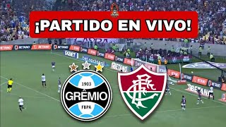 FLUMINENSE VS GREMIO LIVE 2424 TODAY‘S LIVE MATCH [upl. by Ygiaf]