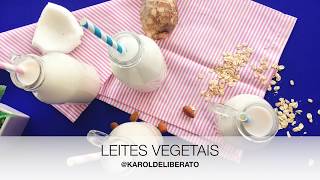 LEITES VEGETAIS [upl. by Vierno]