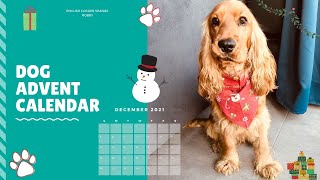 🐶Dog Advent Calendar 🐕 English Cocker Spaniel  Robby 🐾 Part  1 [upl. by Nonna]