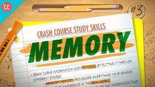 Memory Crash Course Study Skills 3 [upl. by Eph]