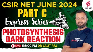 CSIR NET 2024 Preparation  CSIR Life Science Part C Photosynthesis Dark Reaction  Dr Lalit Pal [upl. by Arte]