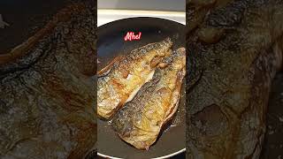 Mackerel Fish [upl. by Jann]