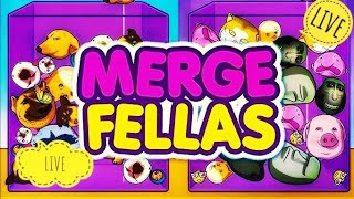 🔴 Merge Fellas live gameplay  Kaif is live shorts gameplay viral [upl. by Dranyam]