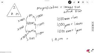 Microscopes and magnification calculations AQA A Level Biology [upl. by Ryun155]