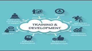 Training amp Development Process in HRM Hindi  Urdu [upl. by Rochkind]