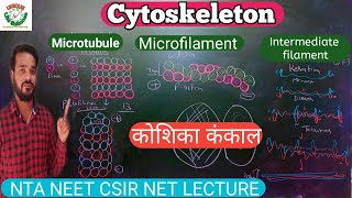 Cytoskeleton  Cytoskeleton in hindi  Microtubules  Microfilament  Intermediate filament  NEET [upl. by Maiocco]