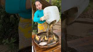 How to cook fish recipe  shorts cooking recipe food shortvideo [upl. by Yatnod897]