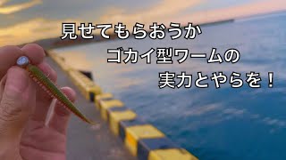 ワームで五目釣りならぬ六目釣りを達成してしまう、豊かな海での釣りの話【車中泊釣り旅北海道編・第9話】 [upl. by Terle234]