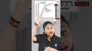 Is Carbon Dioxide the real Friend of Blood shorts oxygendissociationcurve carbondioxide [upl. by Hercule]