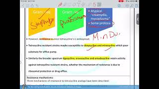 PharmaProtein synthesise inhibitor JUST [upl. by Anec374]