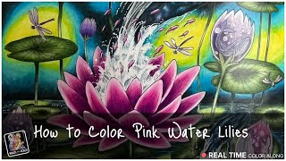 How to Color a Pink Water Lily  REAL TIME Color Along  Kerby Rosanes Worlds Within Worlds [upl. by Asle182]