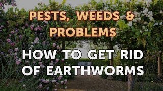 How to Get Rid of Earthworms [upl. by Ellitnahc]