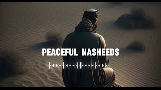 5 Soul healing Nasheeds 🤍 Arabic Nasheed  Muhammad Al Muqit nasheed [upl. by Analed568]