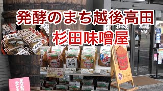 【上越市高田本町】杉田味噌店「越後高田 雪の花みそ」 発酵のまち上越 [upl. by Anitel]