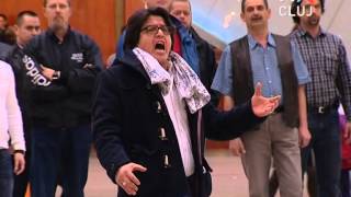 Flash Mob Il trovatore [upl. by Hteazile]