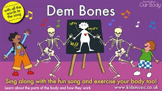 Kidzone  Dem Bones [upl. by Nnyleahs]