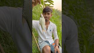 কঞ্চির ছিপ দিয়ে মাছ ধরতে গিয়ে কি হলো 🐟🎣139 village hook fishing video  bengali hook fishing [upl. by Enaled]