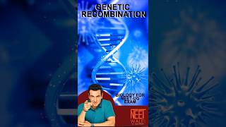 Process of Genetic Recombination  Genetic Engeneering  class 12th Biology neet biology [upl. by Ailekat937]