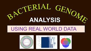 Whole Genome Sequence Analysis  Bacterial Genome Analysis  Bioinformatics 101 for Beginners [upl. by Armmat245]