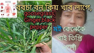 ববচাবনকিয়খাবলাগে2024 goosegrass [upl. by Redan]