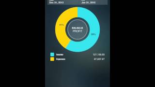 Money Pro  Overview iPhone [upl. by Thurlow836]