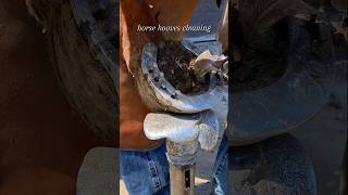 horse hooves cleaning farrier satisfying hoof asmr oddlysatisfying farrierlife [upl. by Nylirad561]