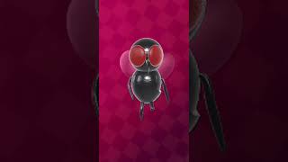 Dancing lady bird effect on YouTube [upl. by Nnayar]