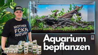 Nature Aquarium bepflanzen Über 70 Pflanzen 🌱🤩 [upl. by Peirce]